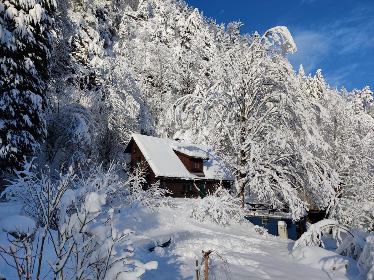 Idyllic Mountain Huette -Gesaeuse Nationalpark Vila Landl  Exterior foto