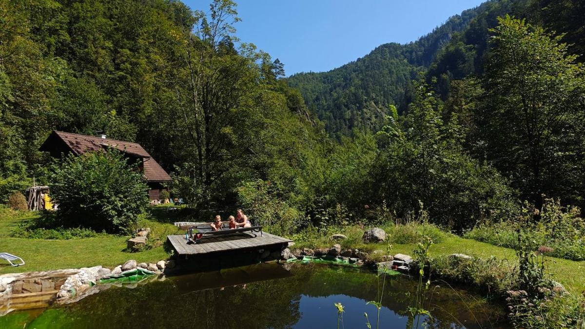 Idyllic Mountain Huette -Gesaeuse Nationalpark Vila Landl  Exterior foto